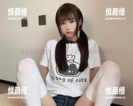 从衬衫到黑丝：布丁大法私房写真中的细节