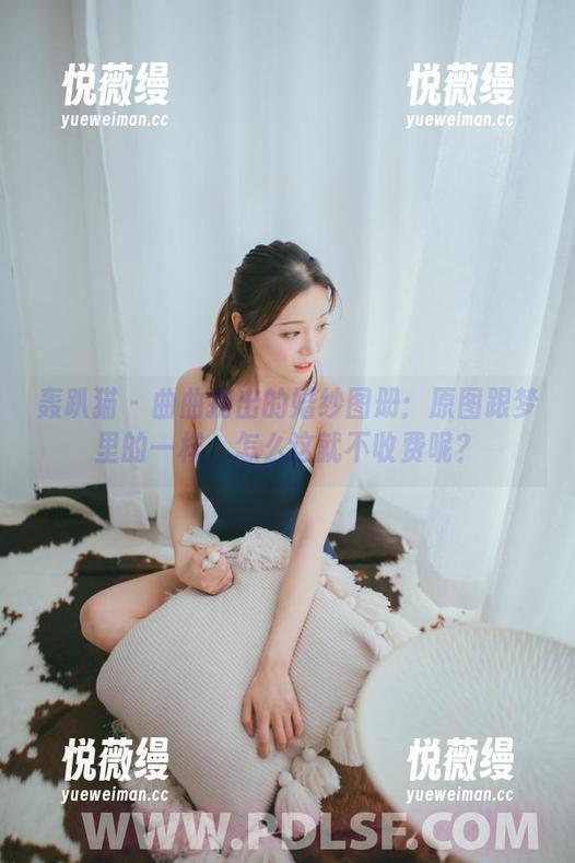 轰趴猫 - 曲曲捞出的婚纱图册：原图跟梦里的一样，怎么这就不收费呢？