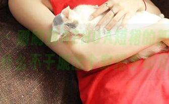 青豆客 – 刚刷到AZHUA短裙的新美图，为什么不干脆出个穿搭手册呢？